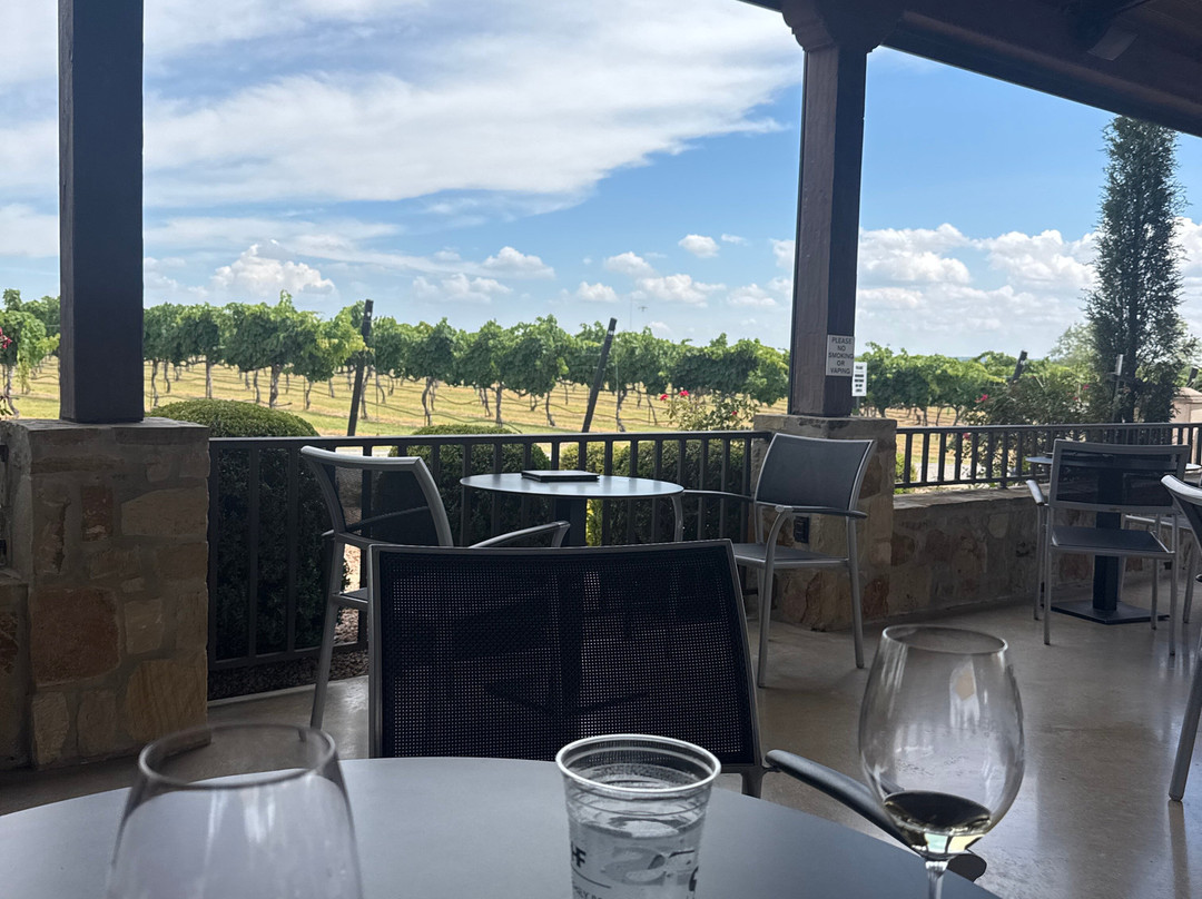 Grape Creek Vineyards Fredericksburg-弗雷德里克斯堡必去景点