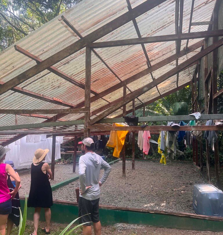 培亚涅库雨林旅馆主图