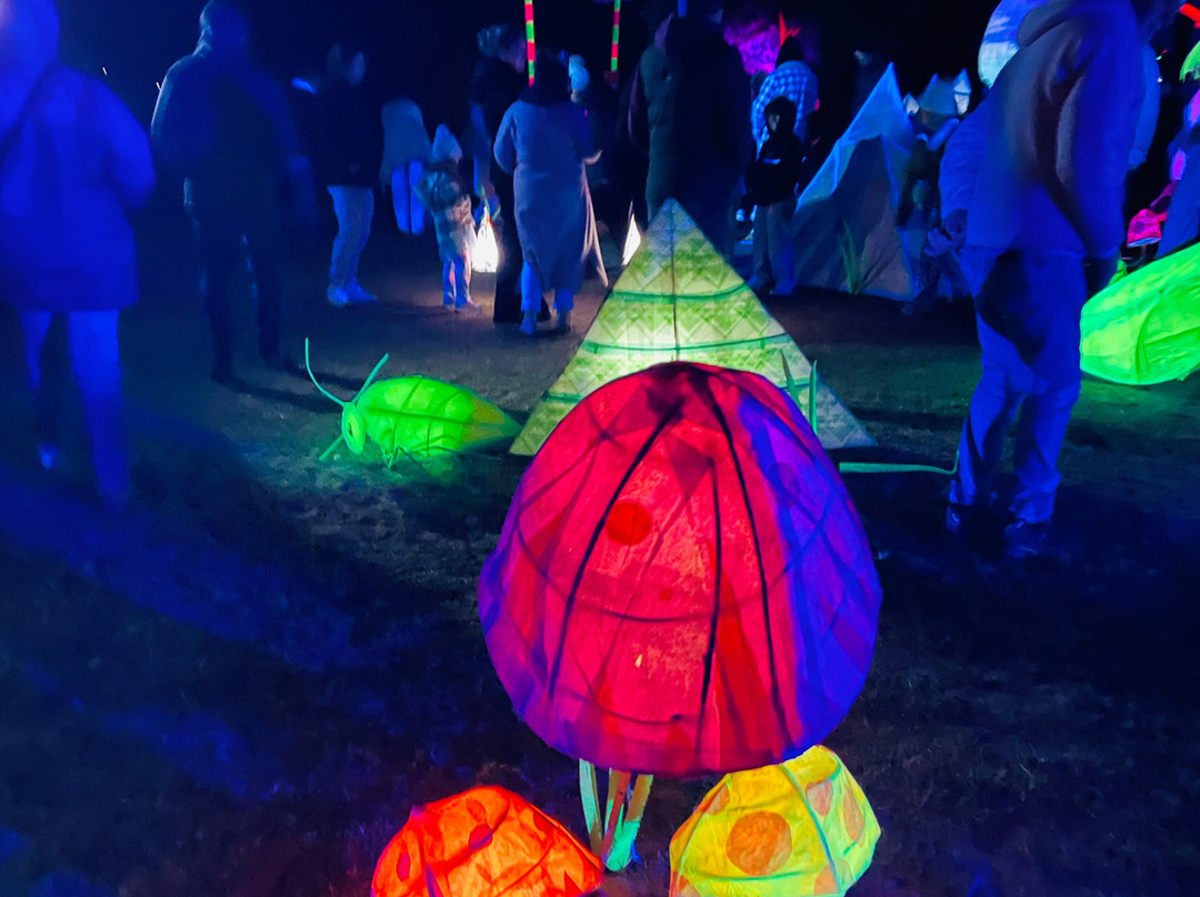 East Gippsland Winter Festival-莱克斯恩特伦斯必去景点