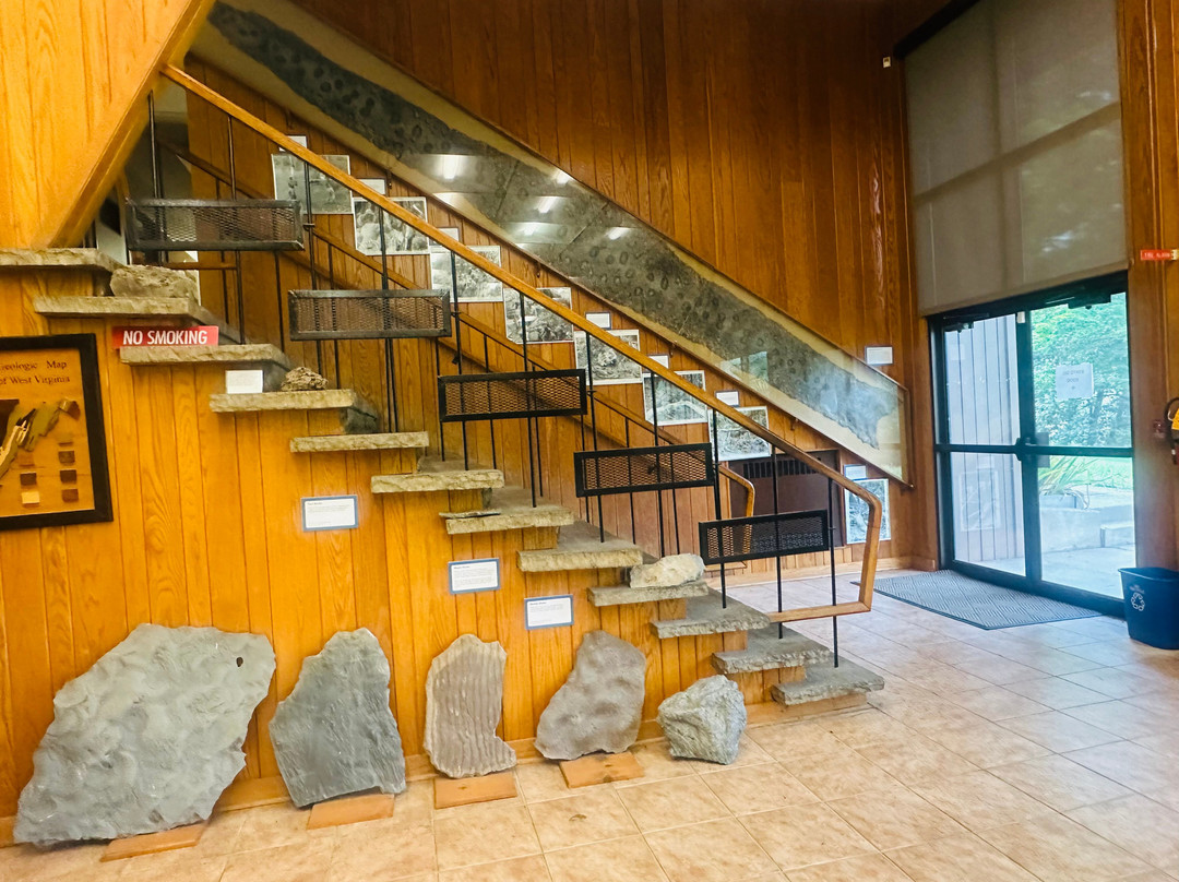 Museum of Geology and Natural History-Cheat Lake必去景点