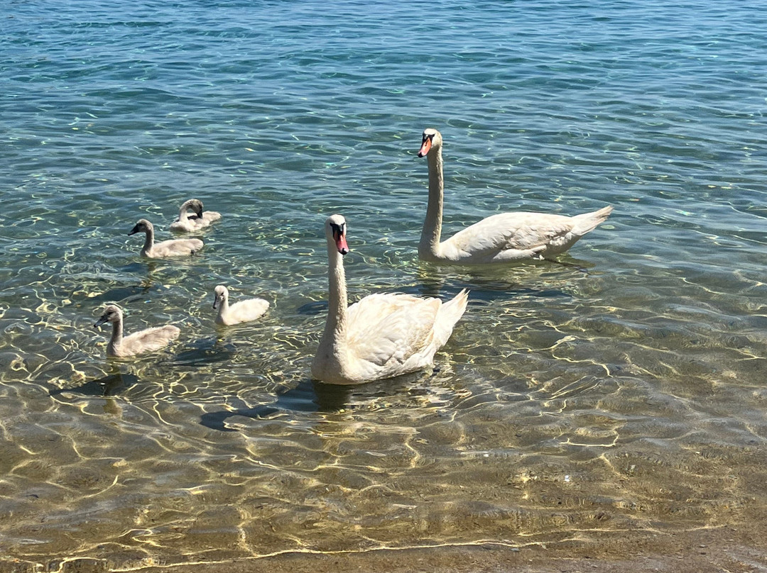 Skiathos Premier Hotel主图