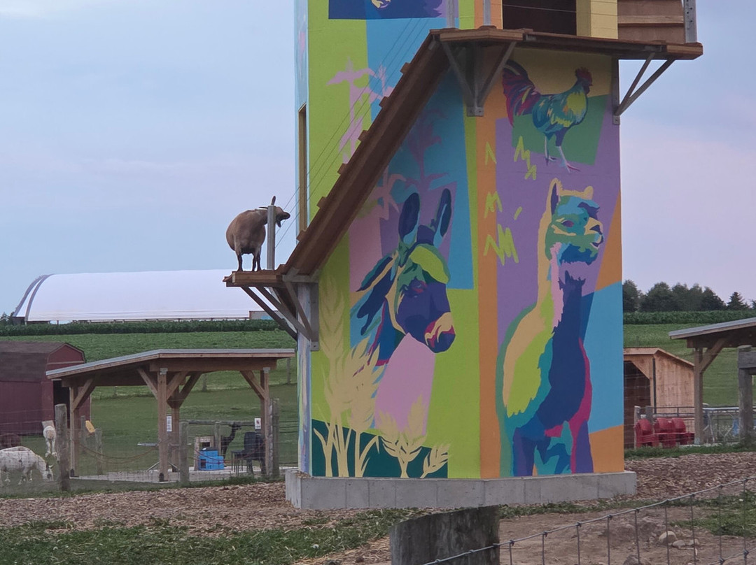Udderly Ridiculous Farm Life-Blandford-Blenheim必去景点