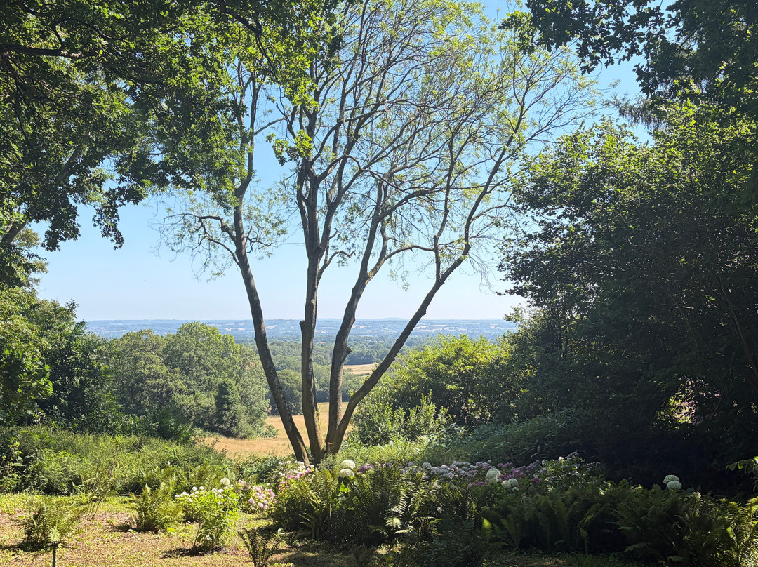 Riverhill Himalayan Gardens-Sevenoaks必去景点