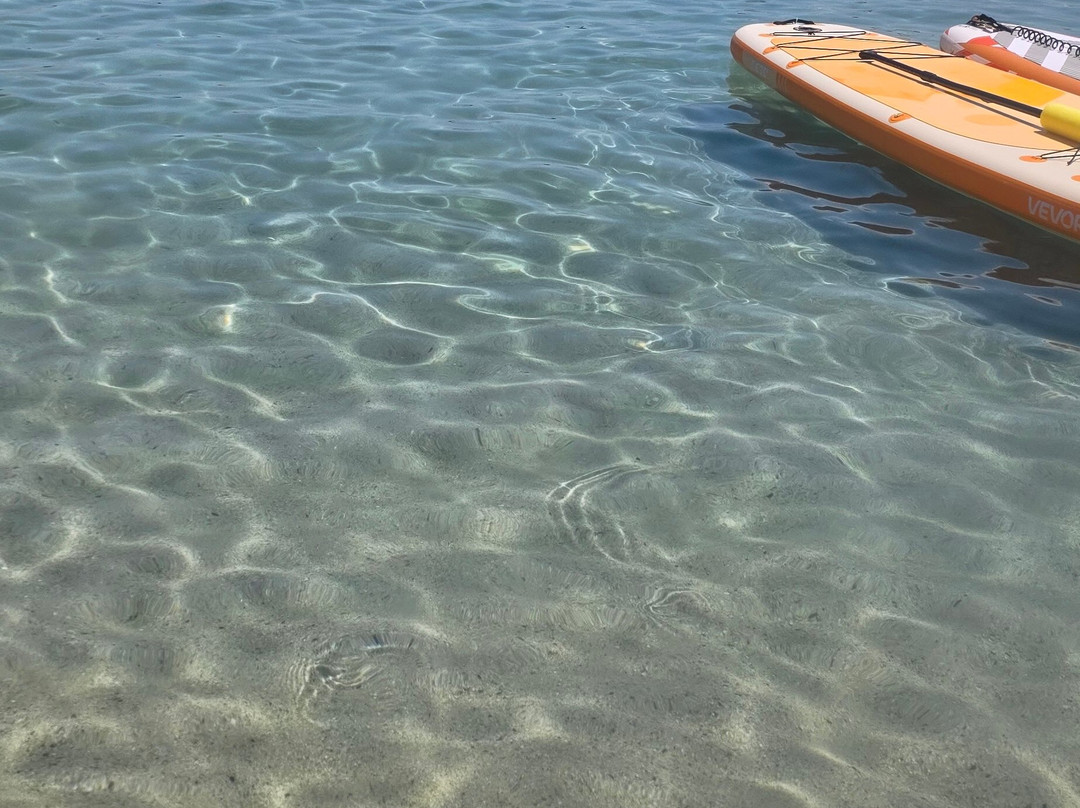 Spiaggia di Fetovaia-Campo nell'Elba必去景点