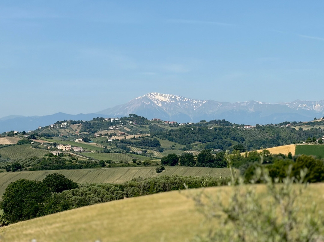 Agriturismo Villa Bussola主图