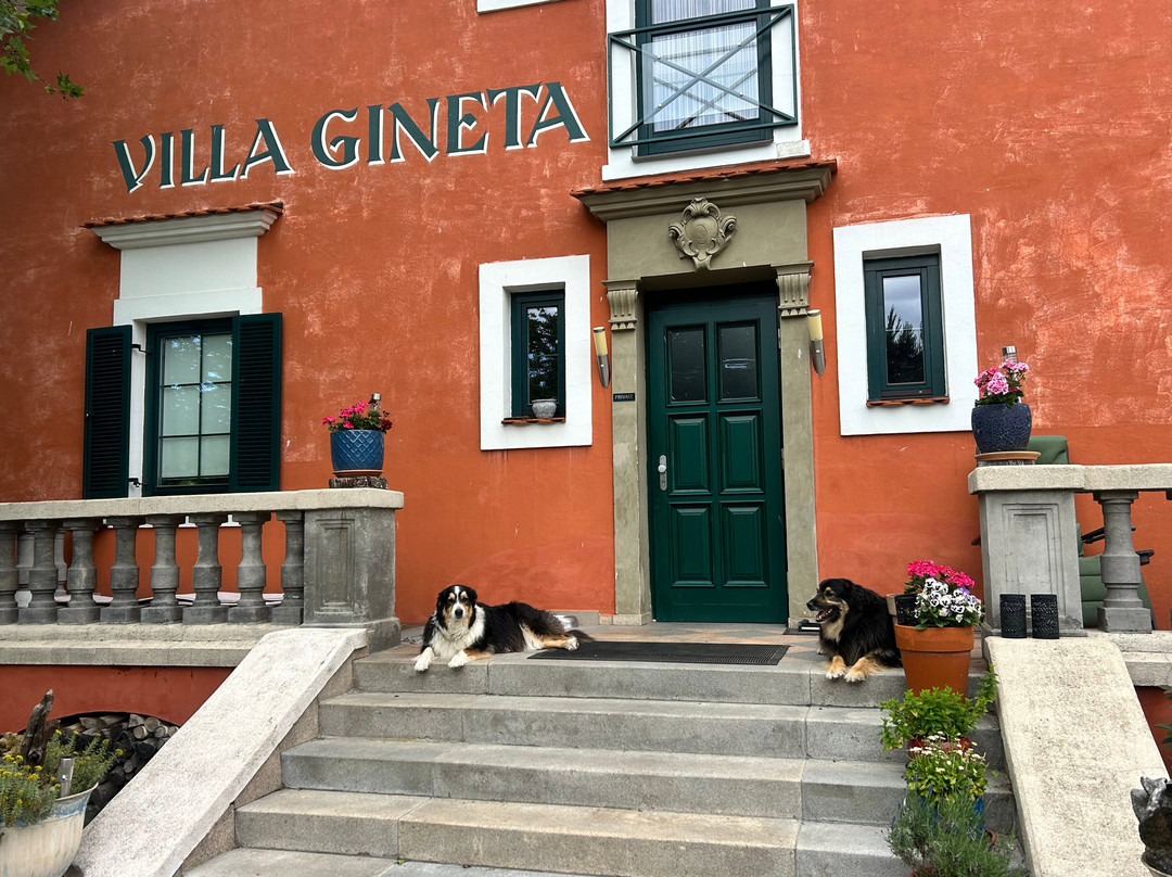 Villa Gineta主图