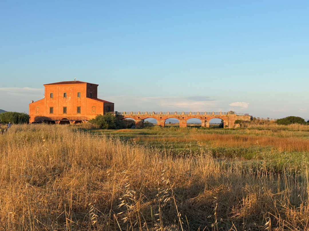 Riserva Naturale Diaccia Botrona-佩斯卡亚堡必去景点