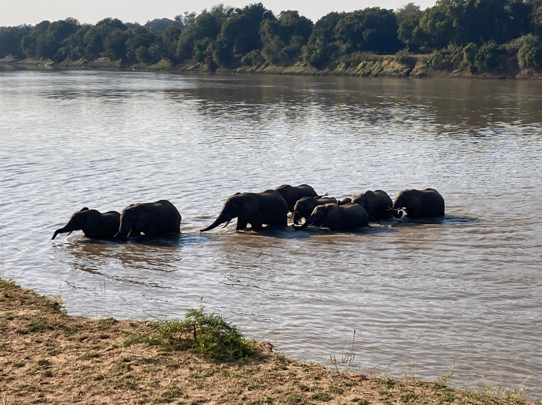 Msandile River Lodge主图
