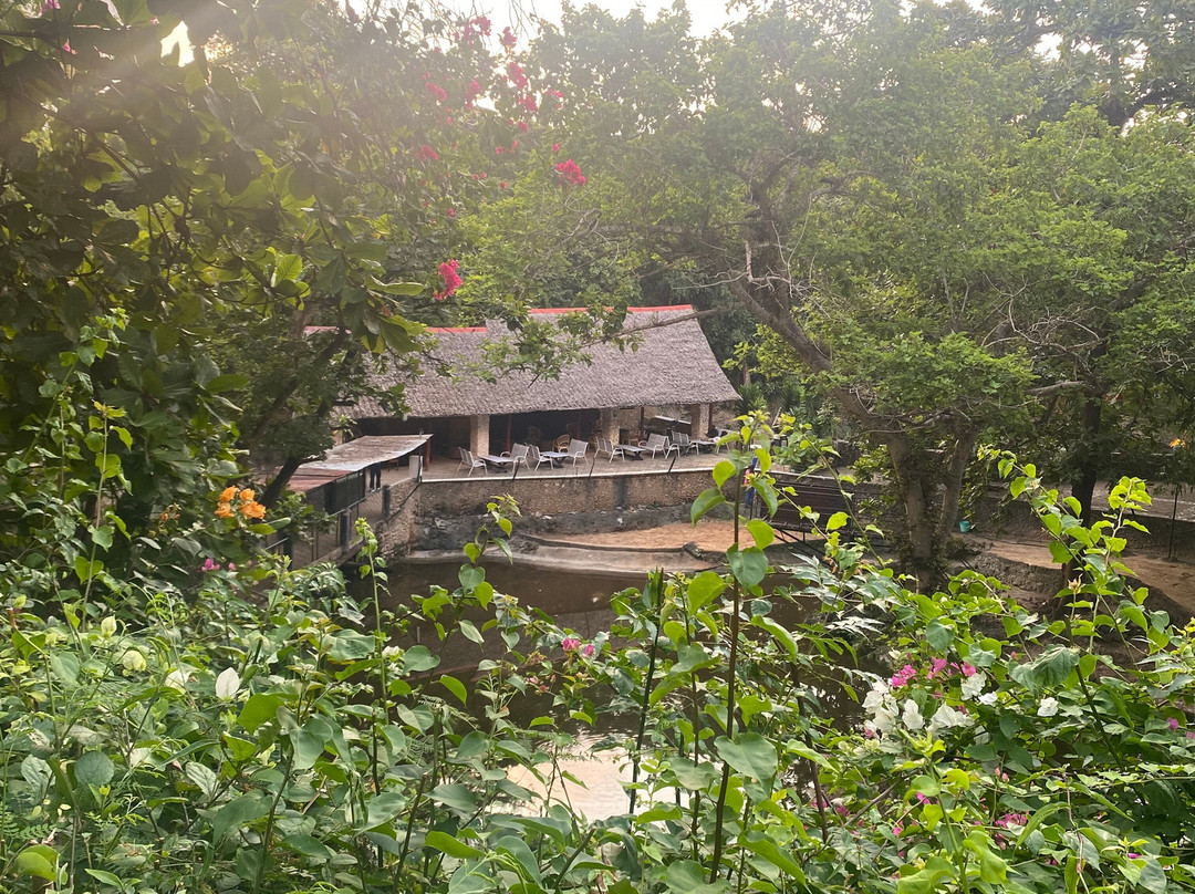 Mamba Village Centre-蒙巴萨必去景点