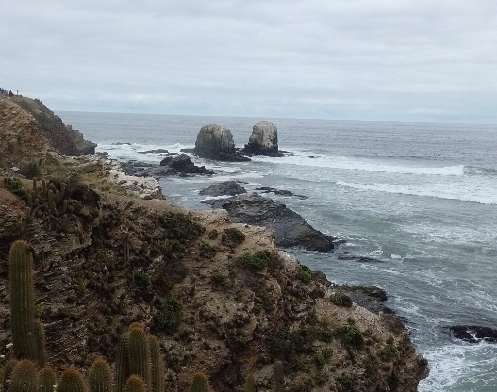 Punta De Lobos-皮钦勒姆必去景点