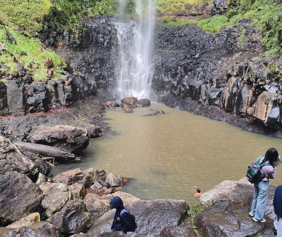 Purling Brook Falls-春之泉必去景点