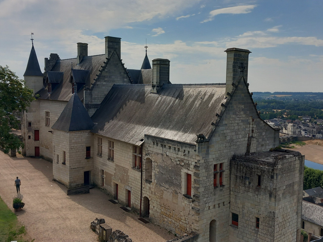 Forteresse Royale De Chinon-希农必去景点
