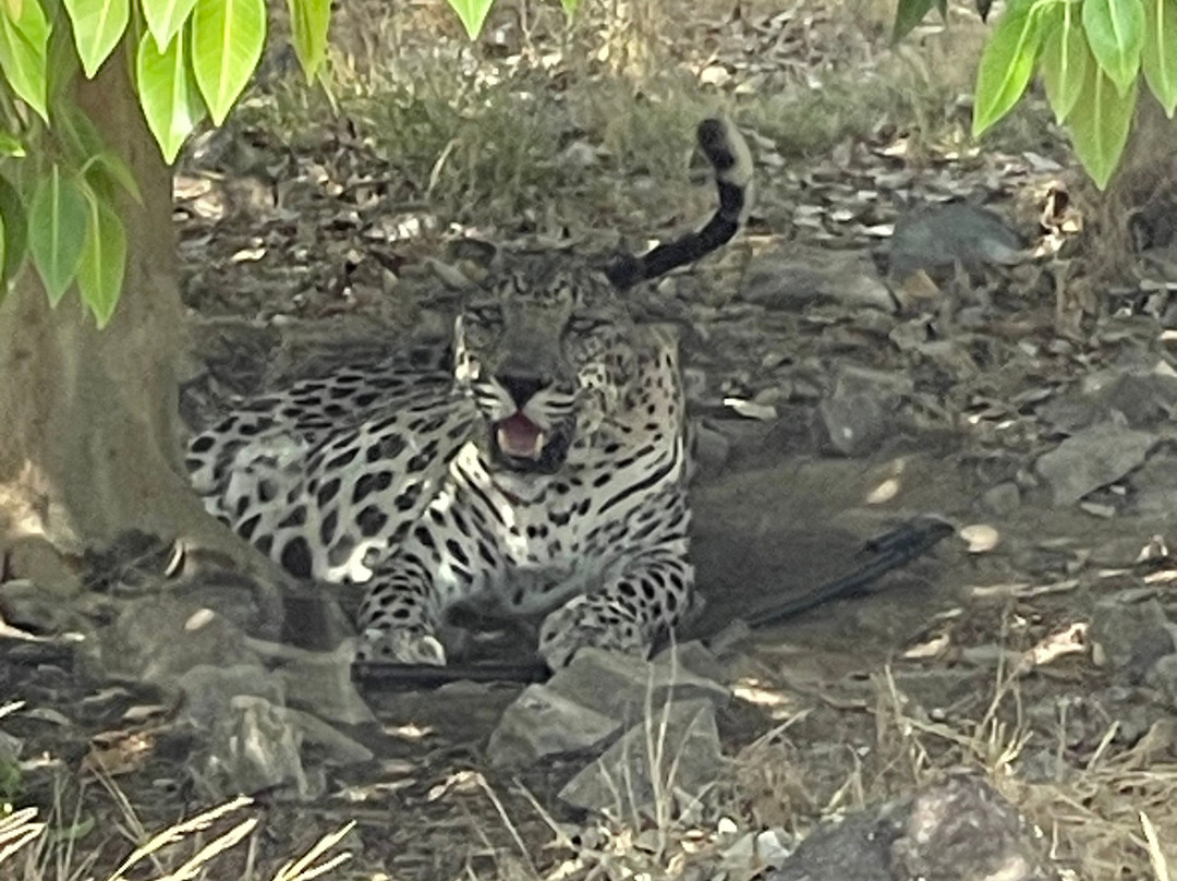 Al Hefaiyah Mountain Conservation Centre-Kalba必去景点