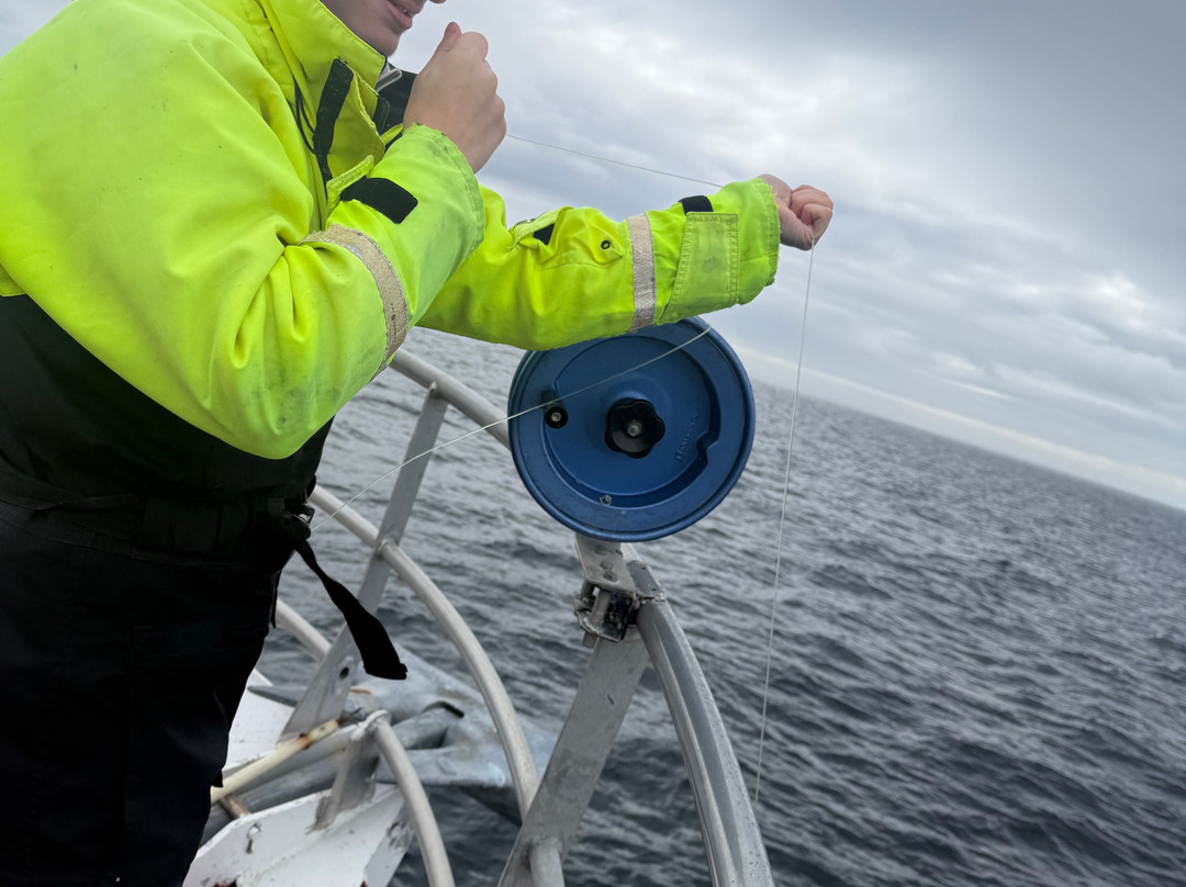 REEL Fishing And RIB Safaries-雷讷必去景点