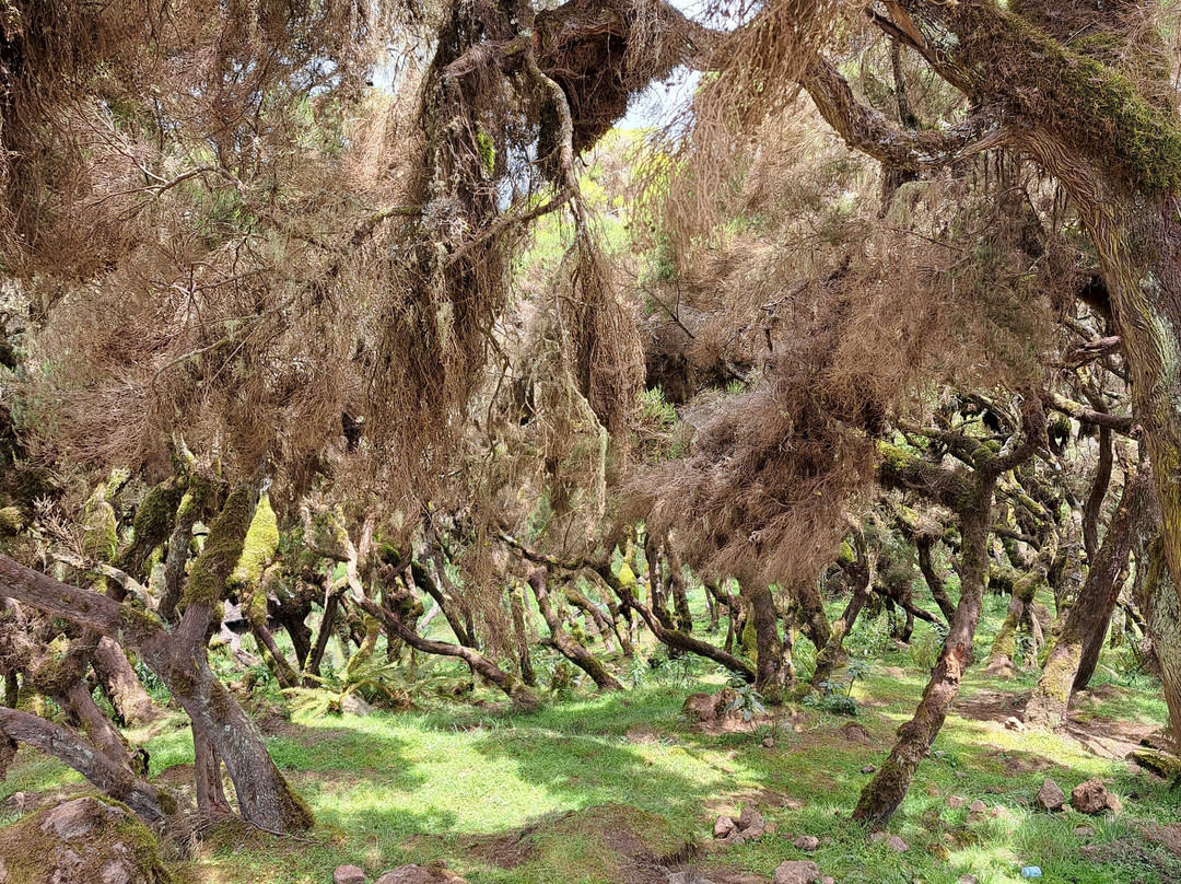 Eyayaw Tours Ethiopia-亚的斯亚贝巴必去景点