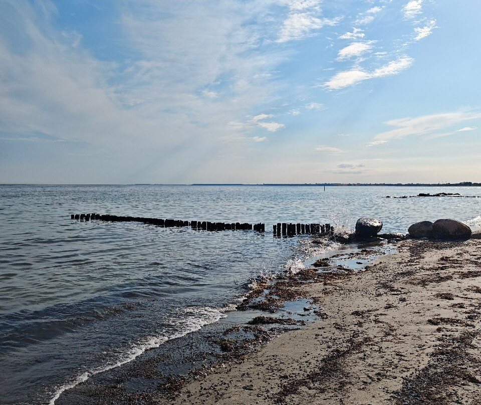 Råbylille Strand-斯泰厄必去景点