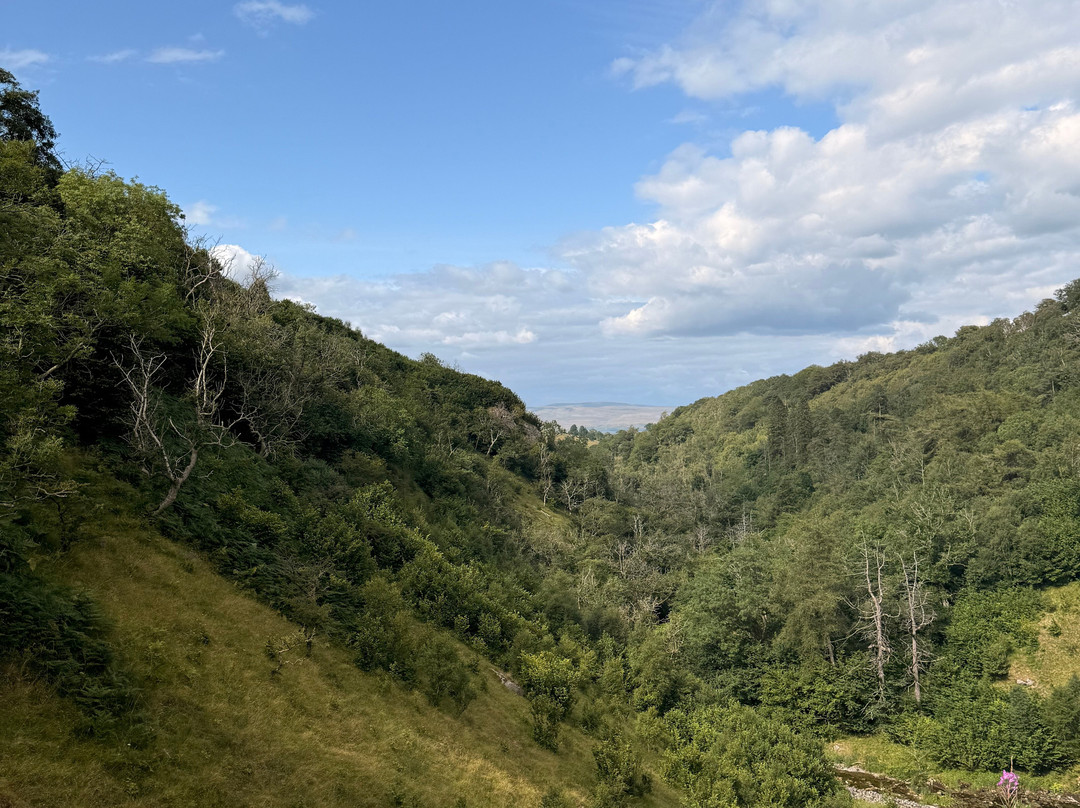 Smardale Gill Nature Reserve-Kirkby Stephen必去景点