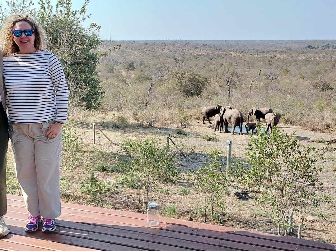 Tulani Boutique Lodge - Includes Game Drives and Meals主图