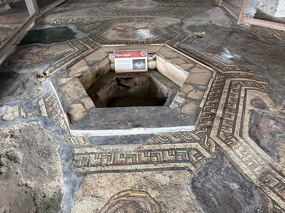 Bignor Roman Villa-Bignor必去景点