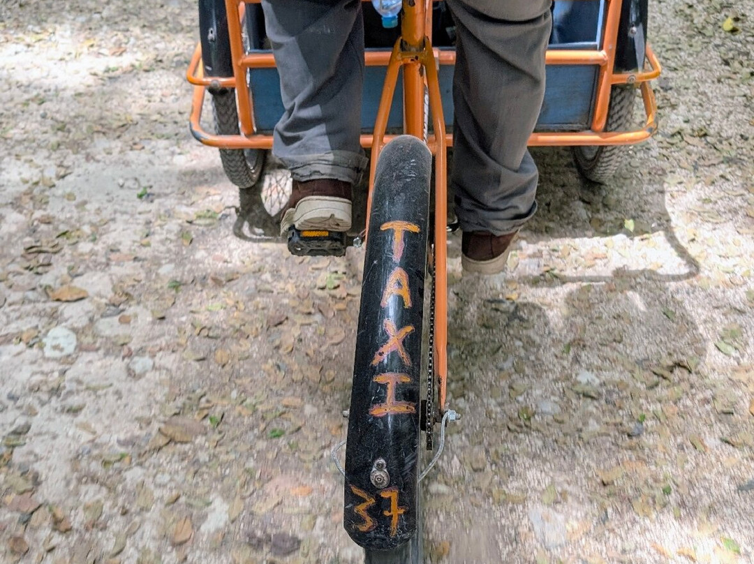 Eco Mayan Adventures-Punta Laguna必去景点