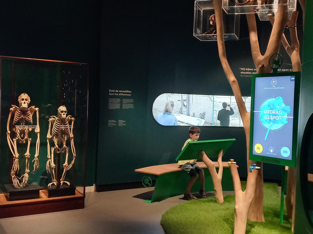 Universiteitsmuseum Utrecht-乌特勒支必去景点