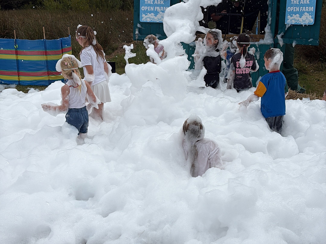 The Ark Open Farm-Newtownards必去景点