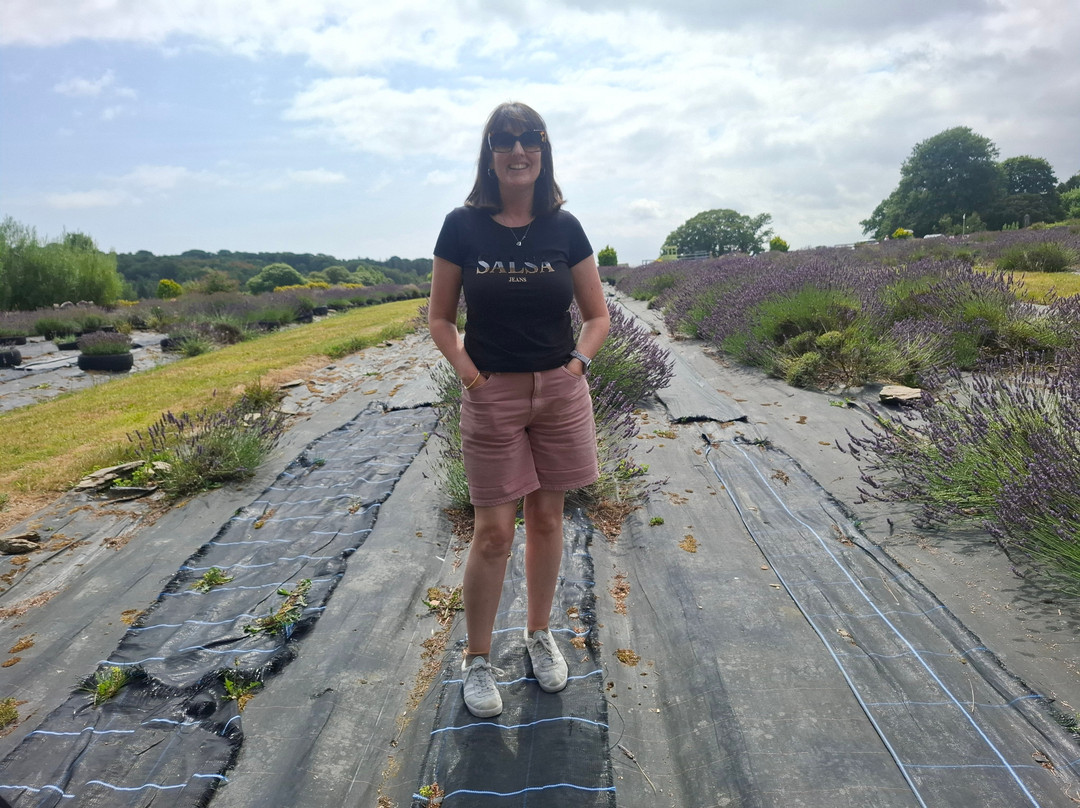 Wexford Lavender Farm-Inch必去景点
