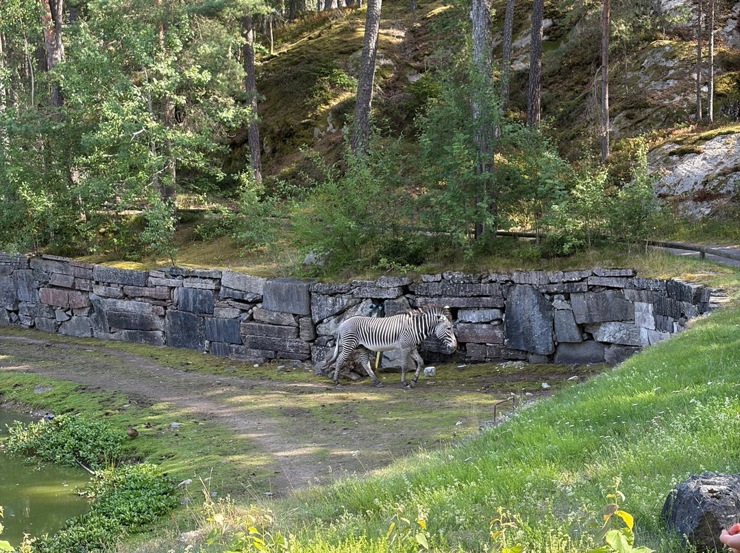 Kolmården Zoo-Kolmarden必去景点