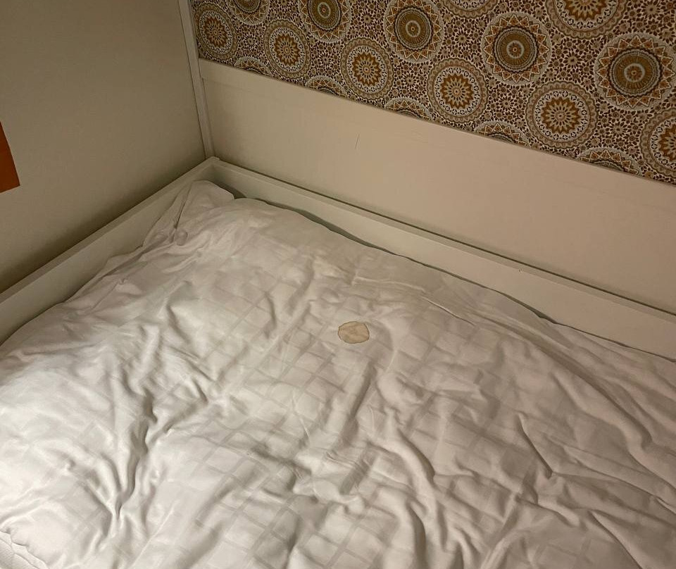 弗雷斯酒店主图