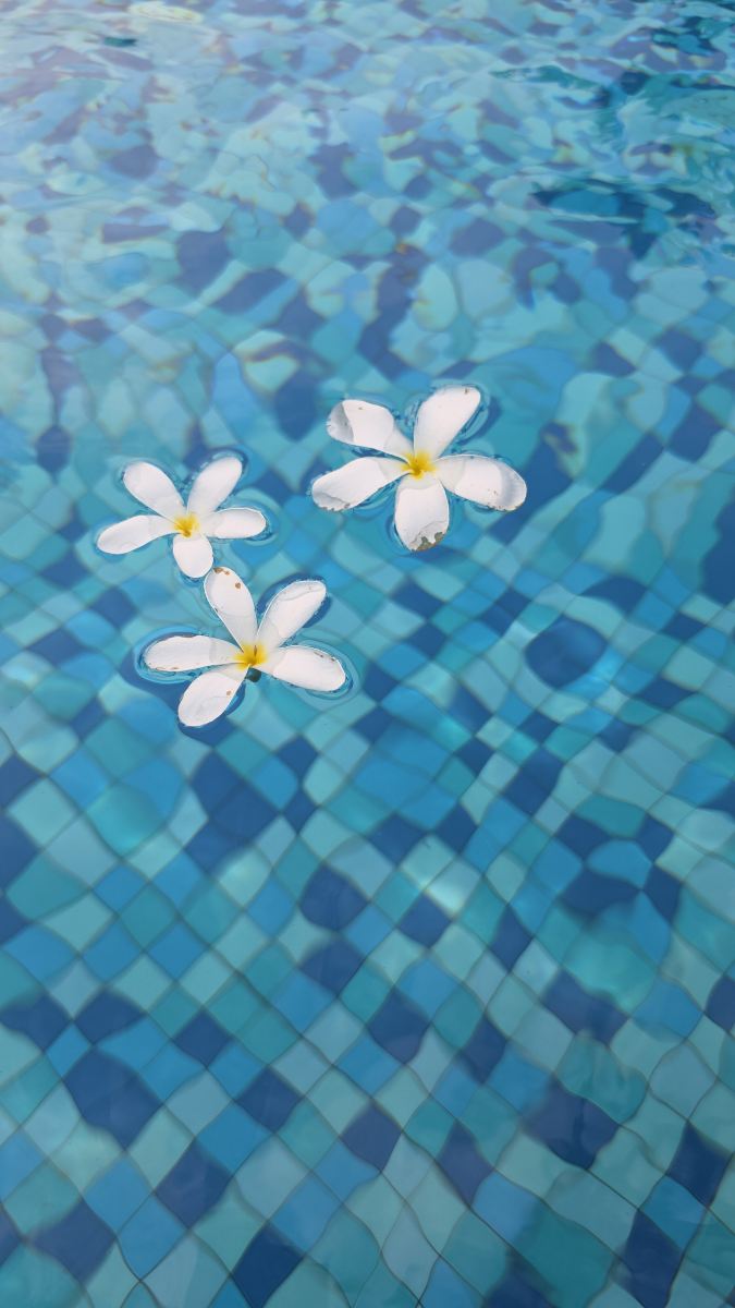 节奏库玛拉孔-旅行者