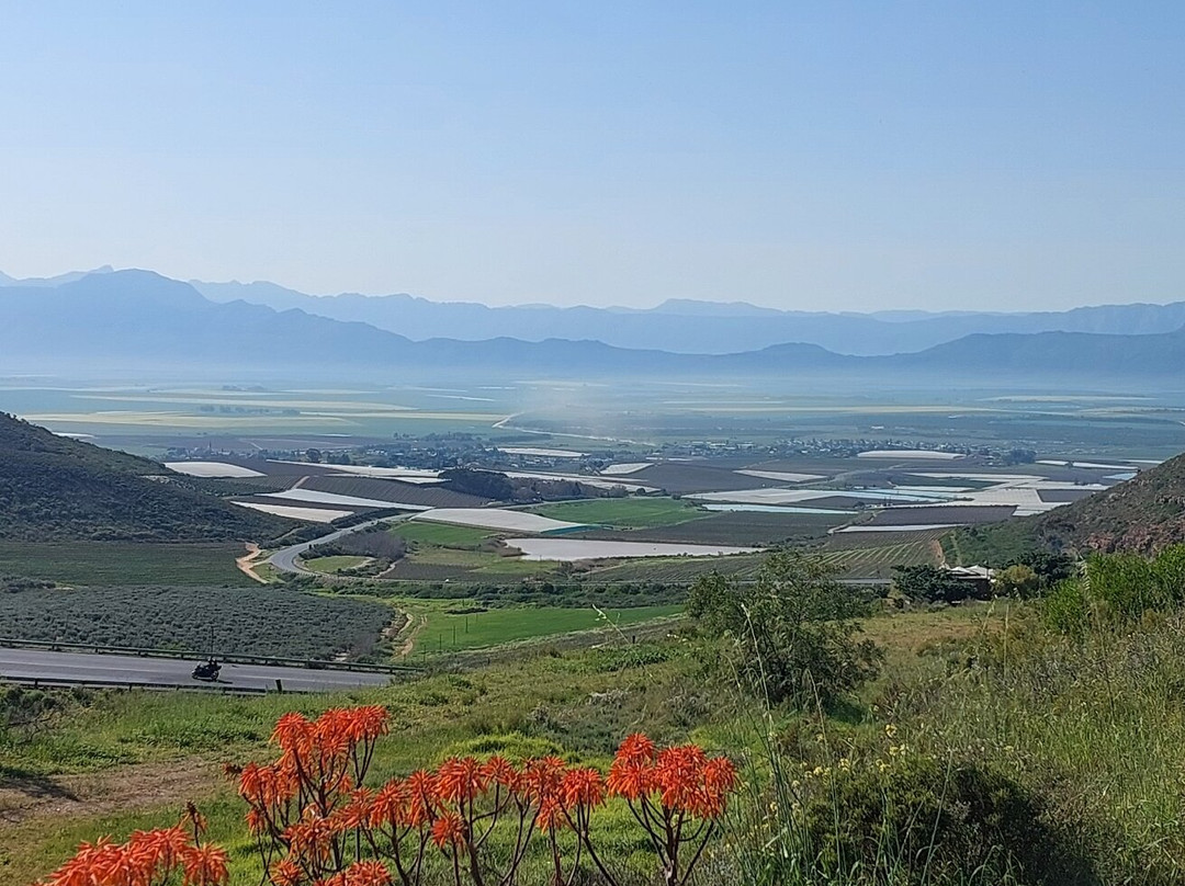 Meerhof Wines-Riebeek Kasteel必去景点