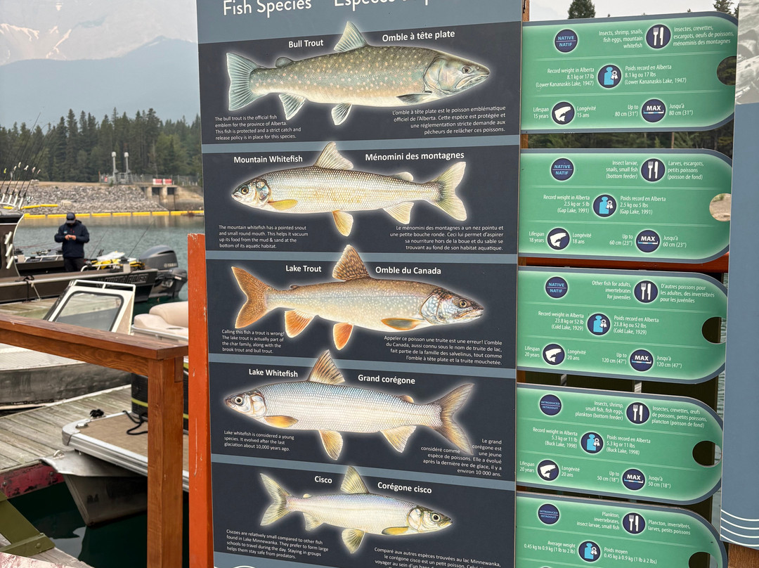 Banff Fishing Unlimited-班夫国家公园必去景点
