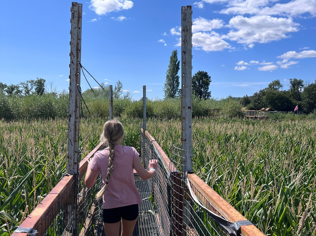 Elton Farm Maize Mazes-Newnham-on-Severn必去景点