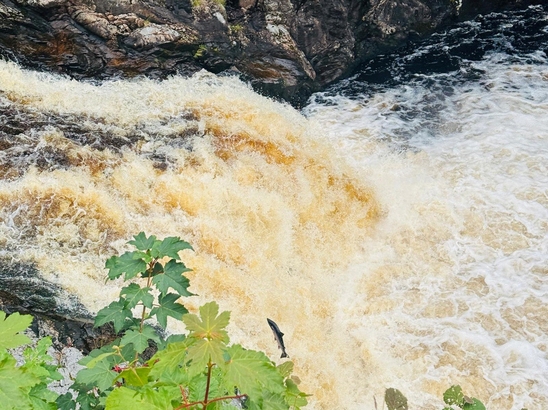 Scotland Taxi Tours-Invergordon必去景点