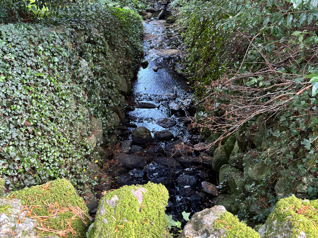 Curraghmore House and Gardens-Portlaw必去景点