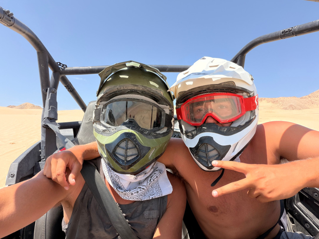 San Diego Dune Tours-Ocotillo必去景点