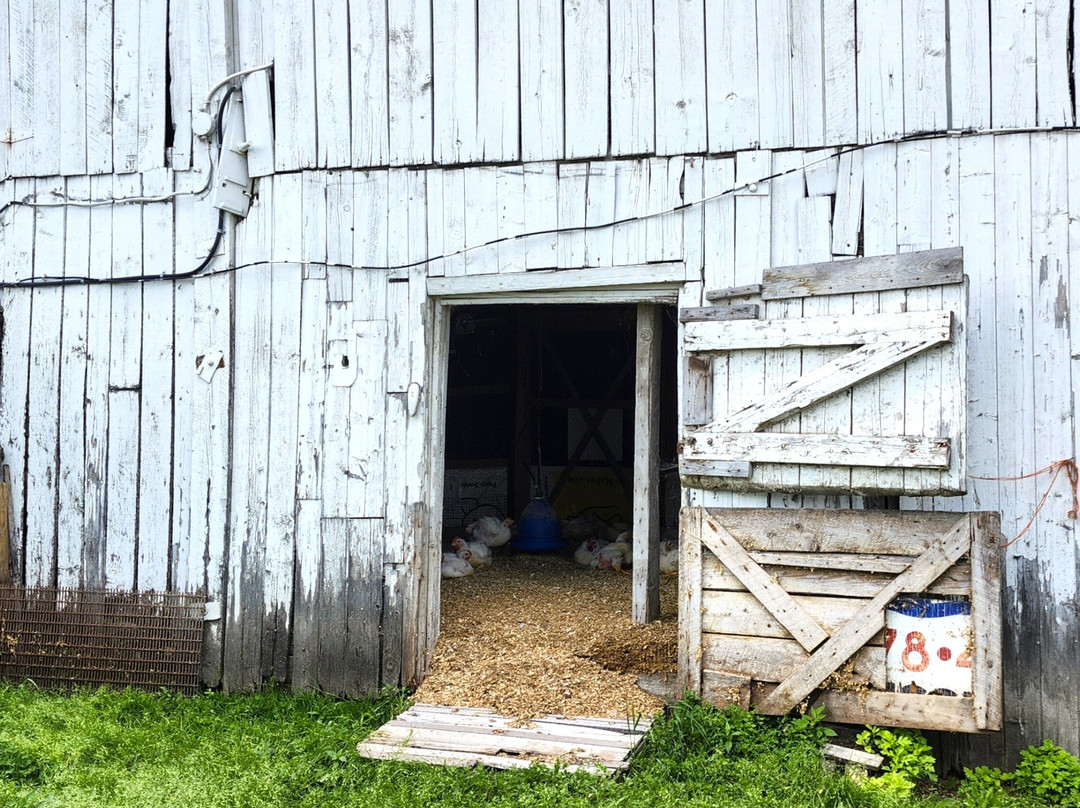 Ferme L'Oiseau Bleu-Baie-St-Paul必去景点