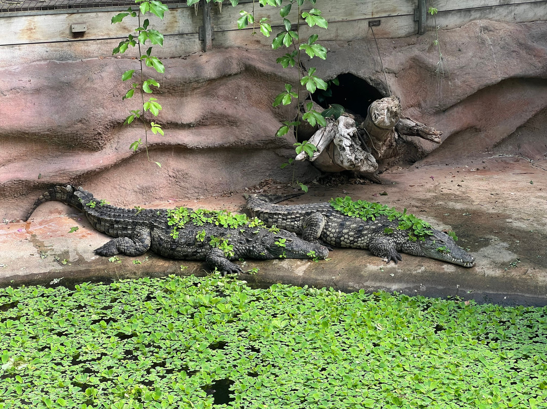 La Ferme Aux Crocodiles-Pierrelatte必去景点