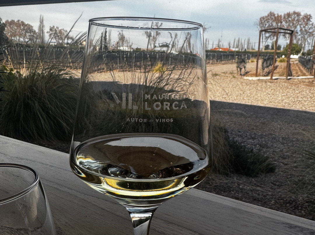 Bodega Mauricio Lorca-路冉得库约必去景点