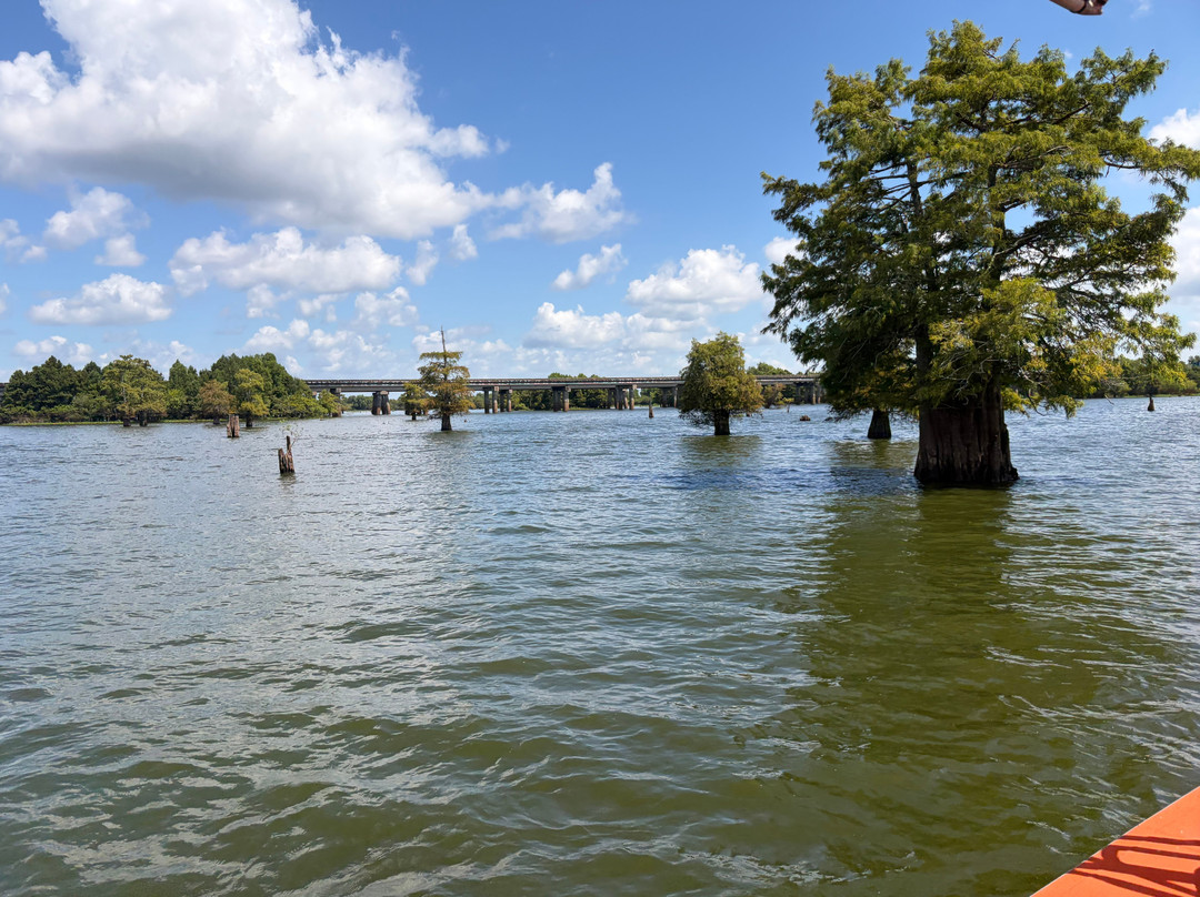 Atchafalaya Basin Landing & Airboat Swamp Tours-布里奥克斯桥必去景点