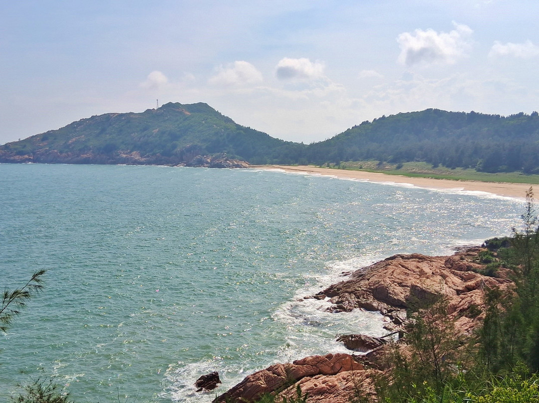 惠州海龟自然保护区-惠东县必去景点