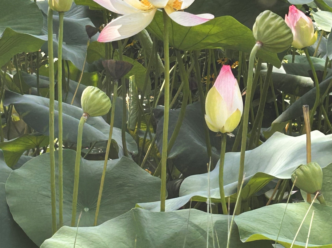 Jardins des Martels-Giroussens必去景点