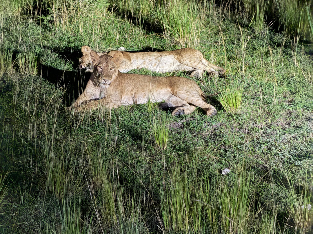 Murchison Falls-Murchison Falls National Park必去景点