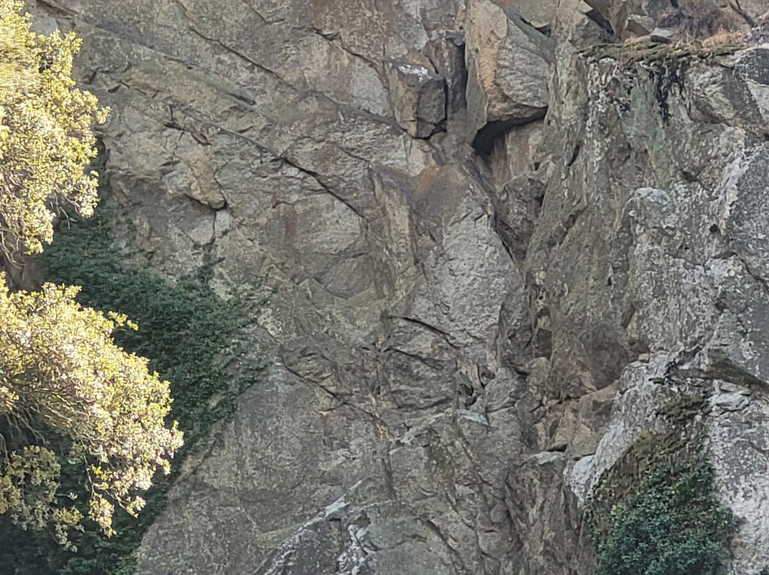 Crucero Ambiental Arribes-Miranda do Douro必去景点