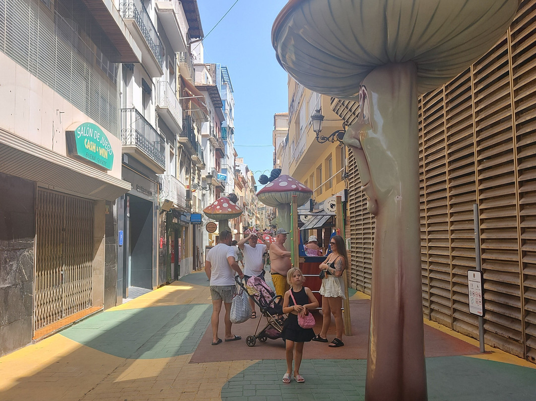 Calle de Las Setas-阿利坎特省必去景点
