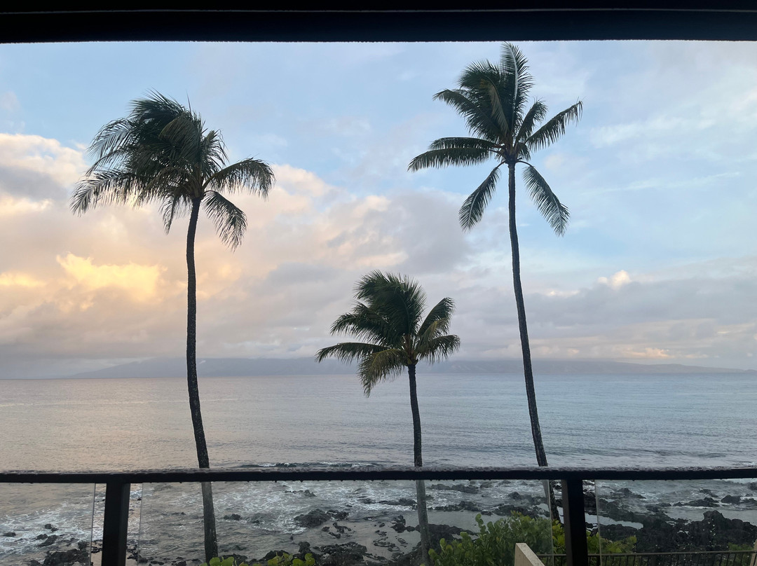 Napili Point Resort主图