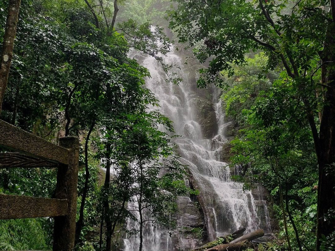 Parque Nacional Rincón de la Vieja-瓜纳卡斯特省必去景点