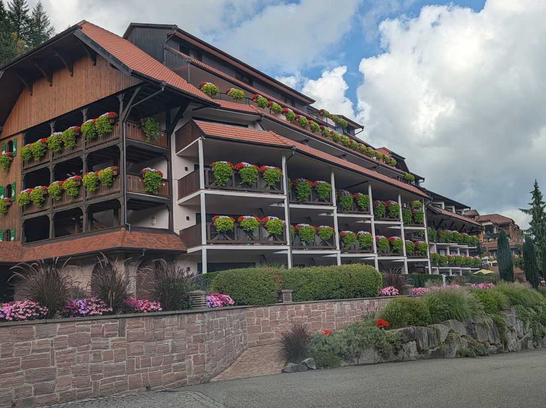 Hôtel Restaurant & SPA Julien主图