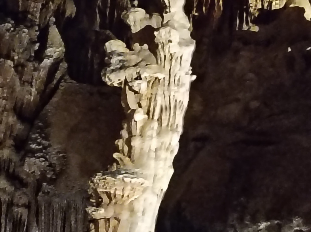 La Grotte Des Demoiselles-Saint-Bauzille-de-Putois必去景点