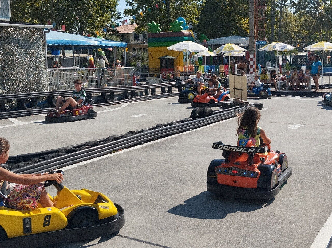 Parco Giochi dei Cigni-Villamarina必去景点